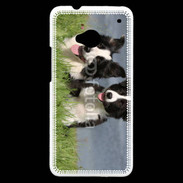 Coque HTC One Chien Border Collie noir et blanc