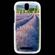 Coque HTC One SV La lavande en Provence