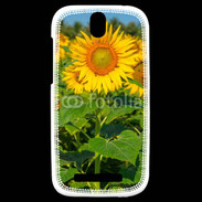 Coque HTC One SV Champs de Tournesol