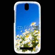 Coque HTC One SV Marguerittes