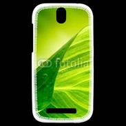 Coque HTC One SV Feuille écologie