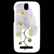 Coque HTC One SV Orchidée blanche