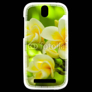 Coque HTC One SV Fleurs Frangipane