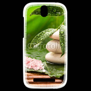 Coque HTC One SV Galet et feuilles mouillées