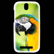 Coque HTC One SV Perroquet