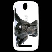 Coque HTC One SV Dogue allemand noir
