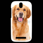 Coque HTC One SV Chien Golden