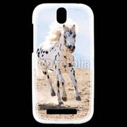Coque HTC One SV Cheval Appaloosa