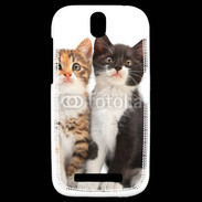 Coque HTC One SV Duo de chatons