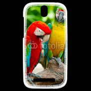 Coque HTC One SV Couple de perroquets