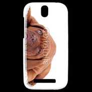 Coque HTC One SV Mastiff marron