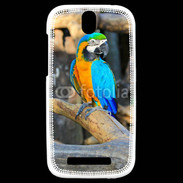 Coque HTC One SV Macaw 1