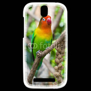 Coque HTC One SV Oiseau Inséparable