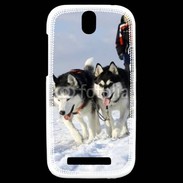 Coque HTC One SV Chien de traineau