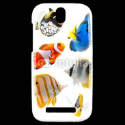 Coque HTC One SV Poisson 1