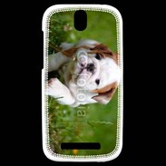 Coque HTC One SV Chiot bulldog anglais 3