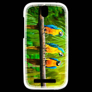 Coque HTC One SV Trois perroquets bleu et jaune