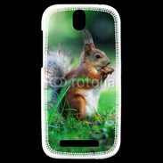 Coque HTC One SV Ecureuil