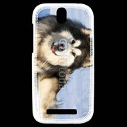 Coque HTC One SV Chien d'Alaska