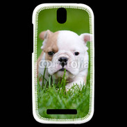 Coque HTC One SV Petit Bulldog anglais
