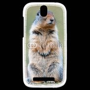 Coque HTC One SV Marmotte 2