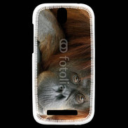 Coque HTC One SV Portrait de singe