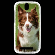 Coque HTC One SV Chien Colley marron et blanc