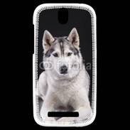 Coque HTC One SV Chien Husky de Sibérie