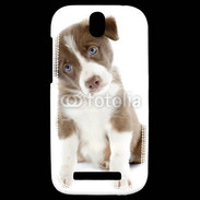 Coque HTC One SV Chiot Colley marron et blanc