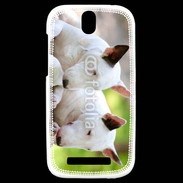Coque HTC One SV Chien Bull terrier anglais 1
