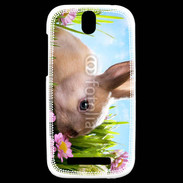Coque HTC One SV Lapin et fleurs