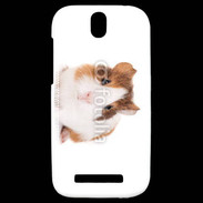 Coque HTC One SV Cochon d'inde 2