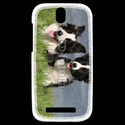 Coque HTC One SV Chien Border Collie noir et blanc