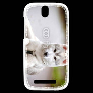 Coque HTC One SV Chien Husky de Sibérie 2