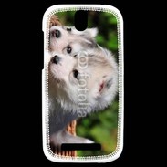 Coque HTC One SV Chiot Husky de Sibérie 3