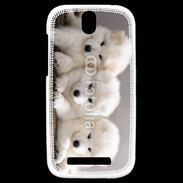 Coque HTC One SV Chiot japonais blanc
