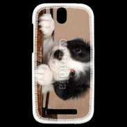 Coque HTC One SV Chiot blanc et noir 2