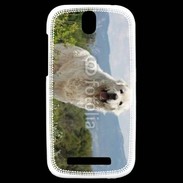 Coque HTC One SV Berger des pyrennées