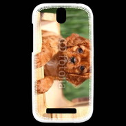 Coque HTC One SV Chiot King Charles 2