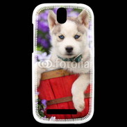 Coque HTC One SV Portrait chiot Husky de Sibérie 1