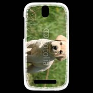 Coque HTC One SV Mignon petit labrador