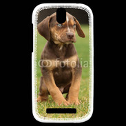 Coque HTC One SV Chiot marron 2