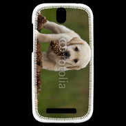 Coque HTC One SV Chiot labrador avec pomme de pin