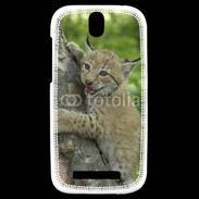 Coque HTC One SV Bébé Lynx