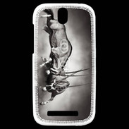 Coque HTC One SV Combat d'animaux sauvages