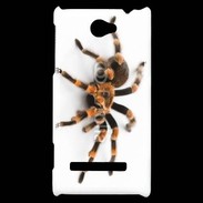 Coque HTC Windows Phone 8S Araignée tarentule