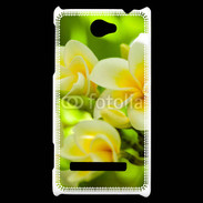 Coque HTC Windows Phone 8S Fleurs Frangipane