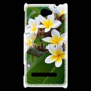 Coque HTC Windows Phone 8S Fleurs Frangipane 2
