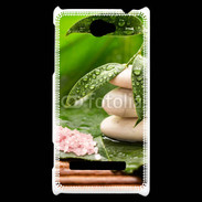 Coque HTC Windows Phone 8S Galet et feuilles mouillées