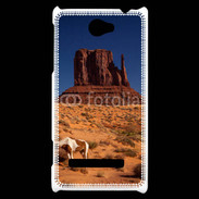 Coque HTC Windows Phone 8S Monument Valley USA